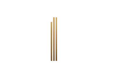 Detroit Web Design Logo